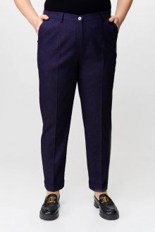 Брюки TrikoTex Stil 2520 синий
