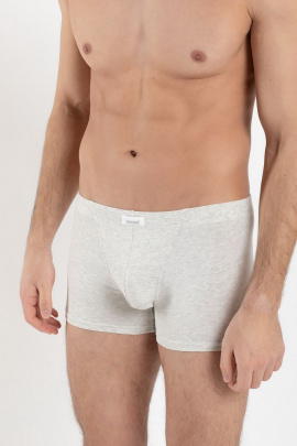 Трусы SERGE 7039/06 gray-036