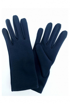 Перчатки ACCENT 1736 темно-синий