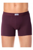 Трусы Conte Elegant DIWARI_basic_shorts_700 bordo