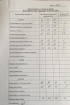 Брюки LaKona Бр1030 песочный