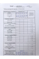 Брюки TAiER 1192 кэмел
