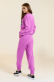 Спортивный костюм DiLiaFashion 0760-2