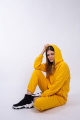 Спортивный костюм Пинск-Стиль 3961 желтый