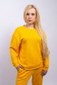 Спортивный костюм Пинск-Стиль 3968 желтый