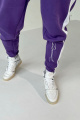 Брюки Rawwwr clothing 123-начес фиолетовый