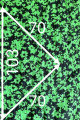 Косынка Дорофея 614К зеленый,черный