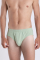 Трусы SERGE 7015/97 green-058