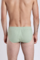 Трусы SERGE 7015/97 green-058